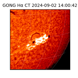 gong - 2024-09-02T14:00:42