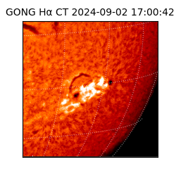 gong - 2024-09-02T17:00:42