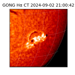 gong - 2024-09-02T21:00:42