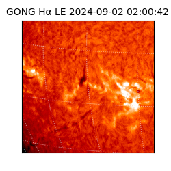 gong - 2024-09-02T02:00:42