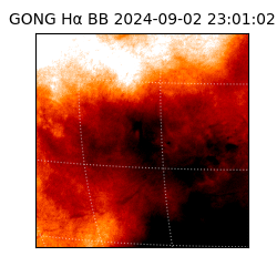 gong - 2024-09-02T23:01:02