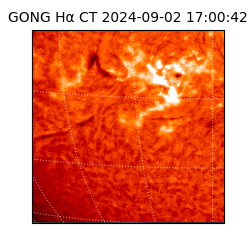 gong - 2024-09-02T17:00:42