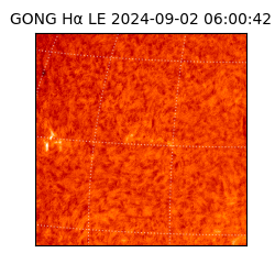 gong - 2024-09-02T06:00:42