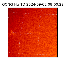 gong - 2024-09-02T08:00:22