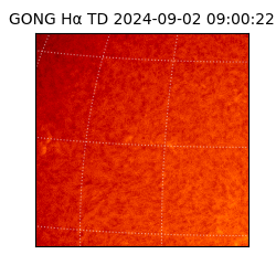 gong - 2024-09-02T09:00:22