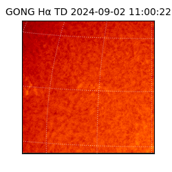 gong - 2024-09-02T11:00:22