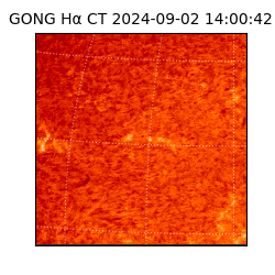 gong - 2024-09-02T14:00:42