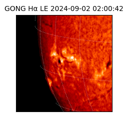 gong - 2024-09-02T02:00:42