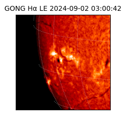 gong - 2024-09-02T03:00:42