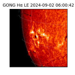 gong - 2024-09-02T06:00:42