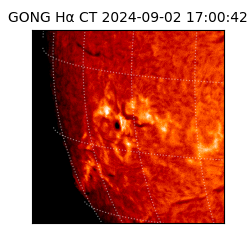 gong - 2024-09-02T17:00:42