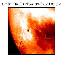 gong - 2024-09-02T23:01:02