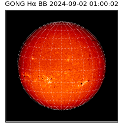 gong - 2024-09-02T01:00:02