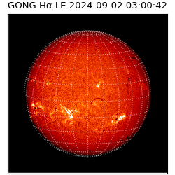 gong - 2024-09-02T03:00:42