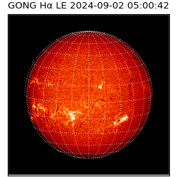 gong - 2024-09-02T05:00:42