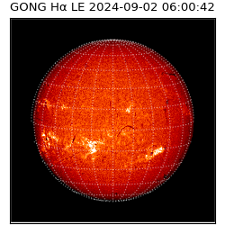 gong - 2024-09-02T06:00:42