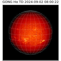 gong - 2024-09-02T08:00:22