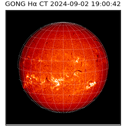 gong - 2024-09-02T19:00:42