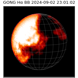 gong - 2024-09-02T23:01:02