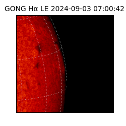 gong - 2024-09-03T07:00:42