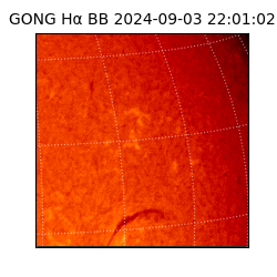 gong - 2024-09-03T22:01:02