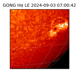 gong - 2024-09-03T07:00:42