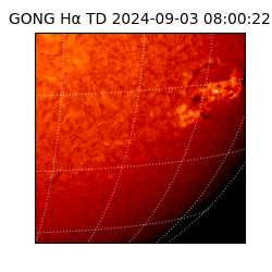 gong - 2024-09-03T08:00:22