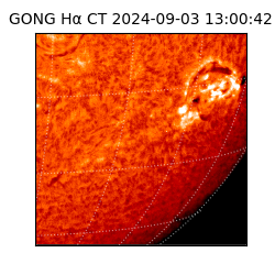 gong - 2024-09-03T13:00:42