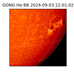 gong - 2024-09-03T22:01:02