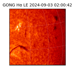 gong - 2024-09-03T02:00:42