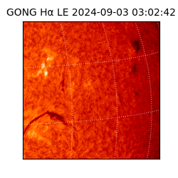 gong - 2024-09-03T03:02:42