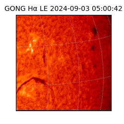 gong - 2024-09-03T05:00:42