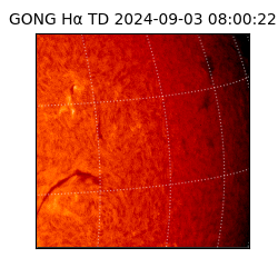 gong - 2024-09-03T08:00:22