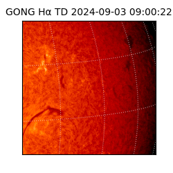 gong - 2024-09-03T09:00:22