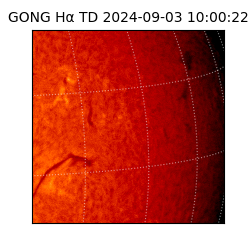 gong - 2024-09-03T10:00:22