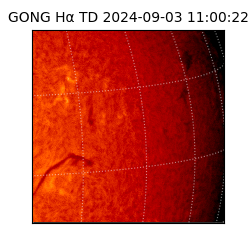 gong - 2024-09-03T11:00:22