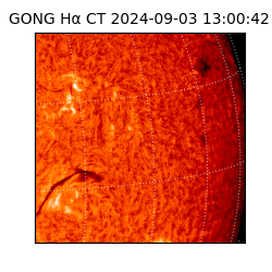 gong - 2024-09-03T13:00:42