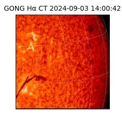 gong - 2024-09-03T14:00:42