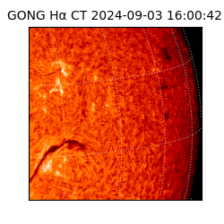 gong - 2024-09-03T16:00:42