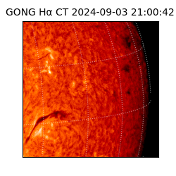 gong - 2024-09-03T21:00:42