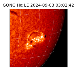 gong - 2024-09-03T03:02:42