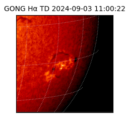 gong - 2024-09-03T11:00:22