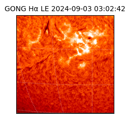 gong - 2024-09-03T03:02:42