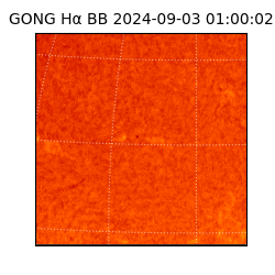 gong - 2024-09-03T01:00:02