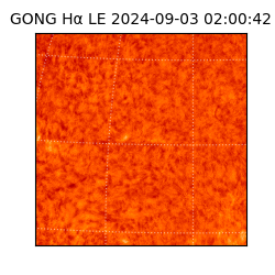 gong - 2024-09-03T02:00:42