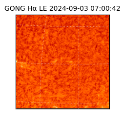 gong - 2024-09-03T07:00:42