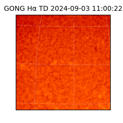 gong - 2024-09-03T11:00:22