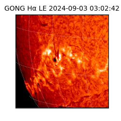 gong - 2024-09-03T03:02:42