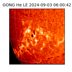 gong - 2024-09-03T06:00:42