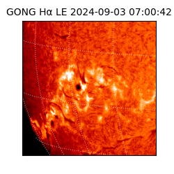 gong - 2024-09-03T07:00:42